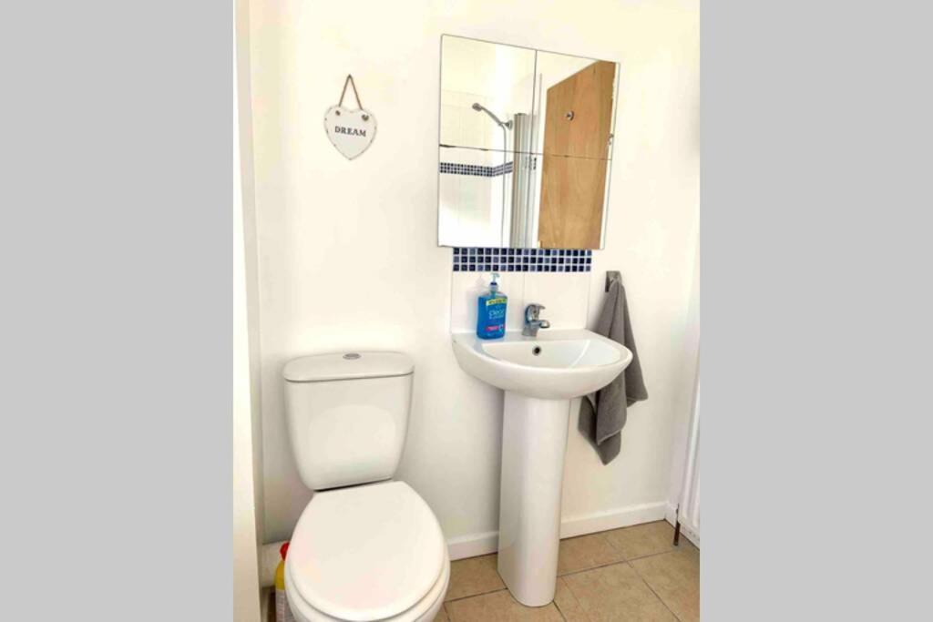 Flat 5 Eia House Leilighet Belfast Eksteriør bilde